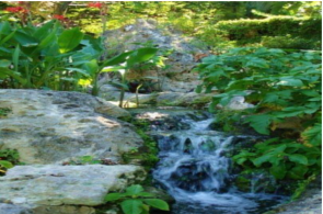 Andromeda Botanical Gardens