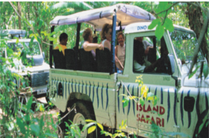 SAFARI RIDES