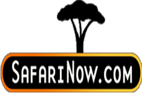 SAFARINOW