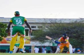 cricket