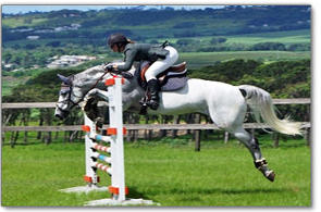 equestrian