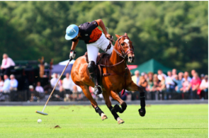 polo