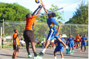 volley ball
