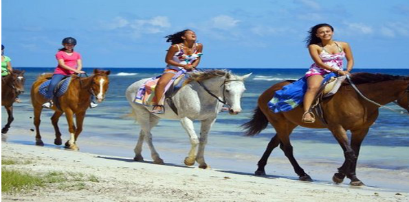 Horse Rides